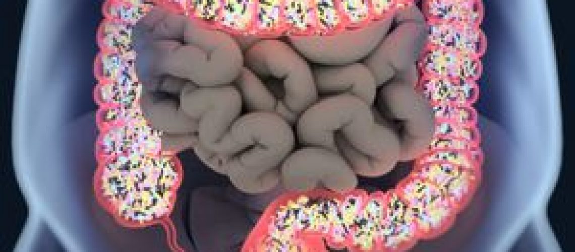 Gut microbiome may influence cardiometabolic health disparities for women